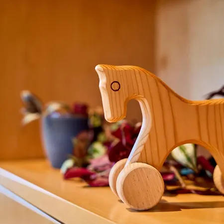 Apartamento Grosse Exklusive Mit Balkon Und Fantastischer Aussicht Auf Bergwelt Inkl Privatem Parkplatz Mit E-ladestation *